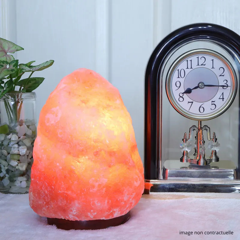 Lampe en Sel Rose de l'Himalaya
Purifie l'espace et réduit les sensations d'air sec

