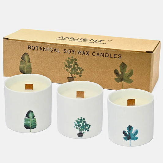 coffret 3 bougies aux parfums botanique, mèche en bois et emballage cadeaux kraft