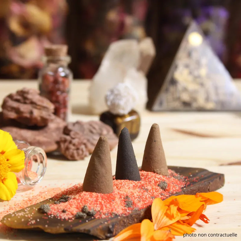 3 cones d'encens naturels avec decor de plantes et fleurs séchées