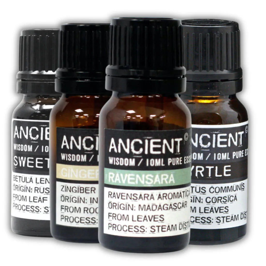 lot 4 flacons huiles essentielle 10 ml : myrte, bouleau blackboulâtes, gingembre et ravensara