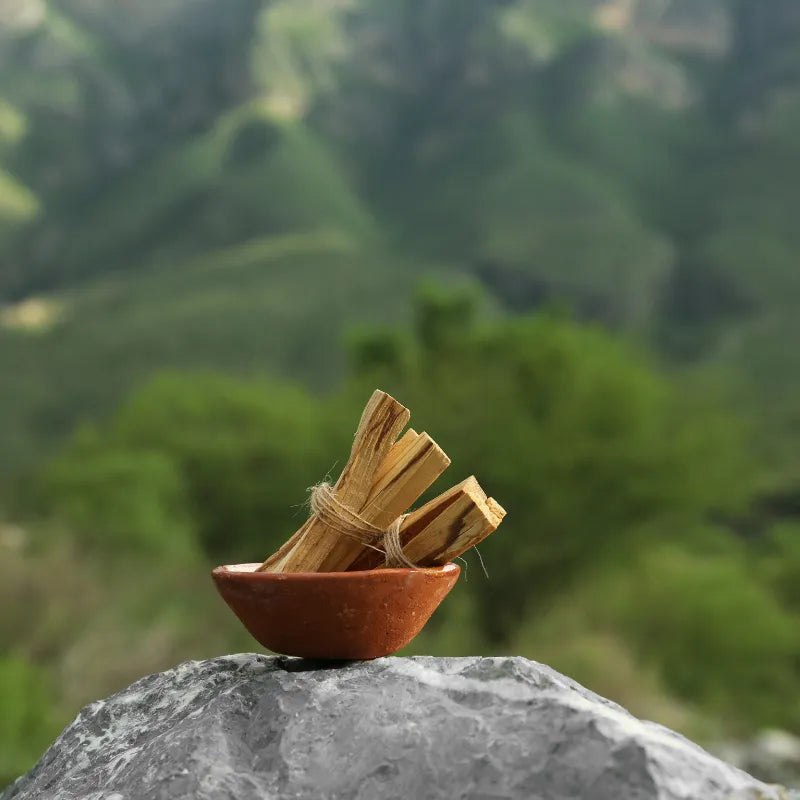 Bols de palo Santo bois sacre du Pérou sur un rocher de montagne